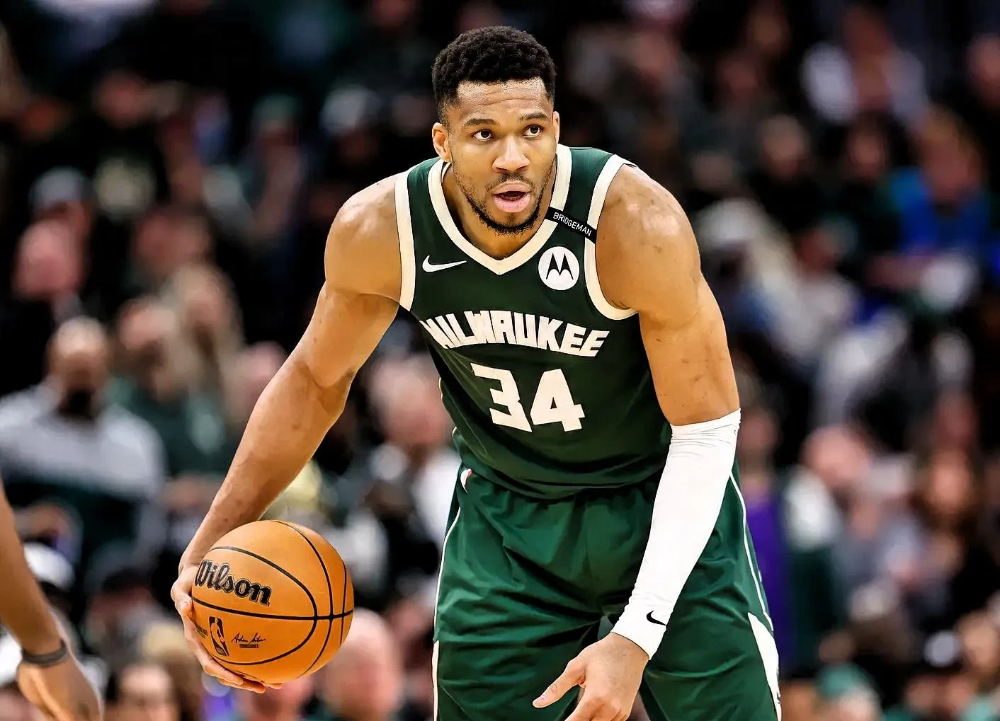 密尔沃基雄鹿队最新消息